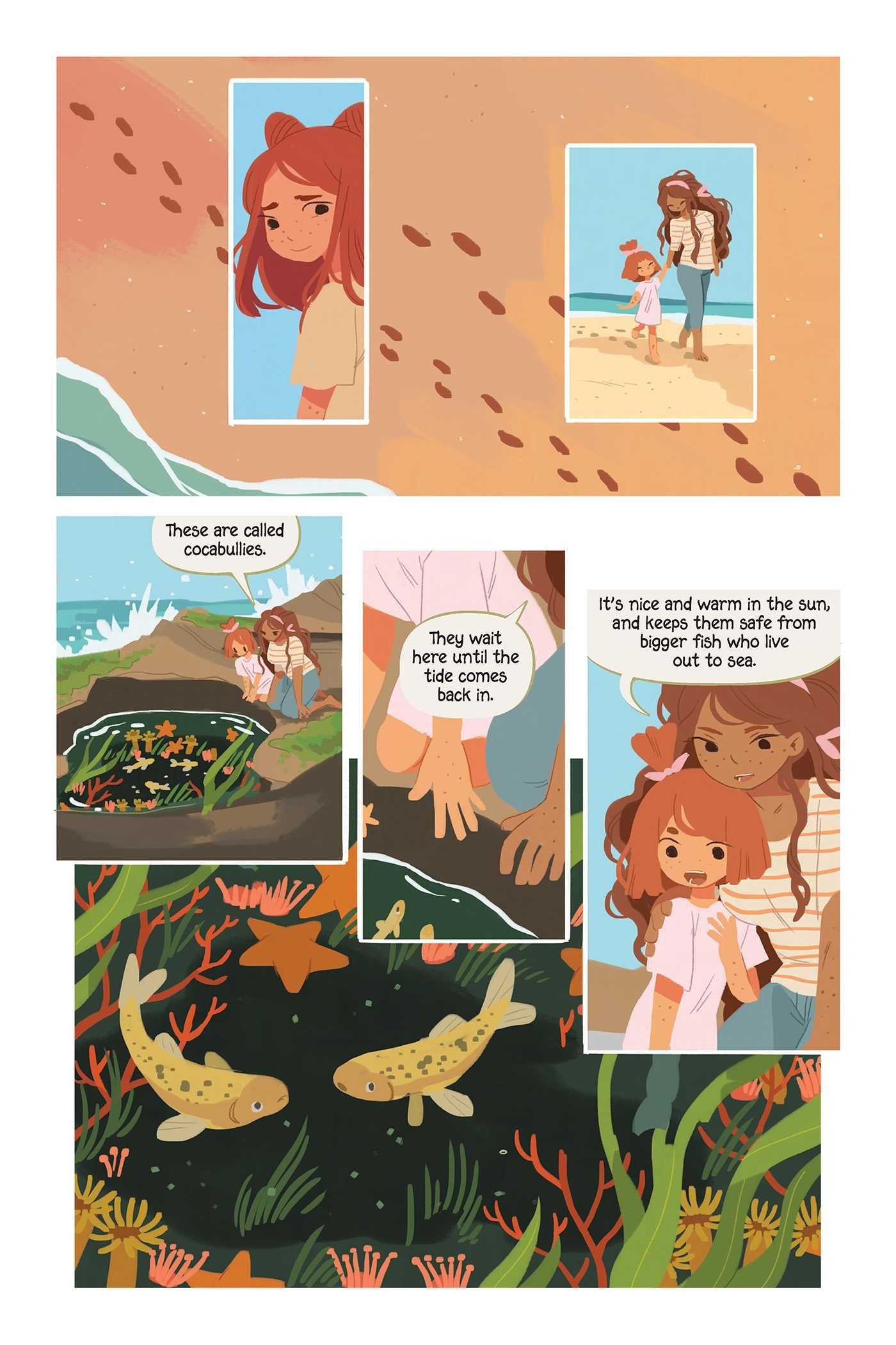 Aquicorn Cove (Hardcover)